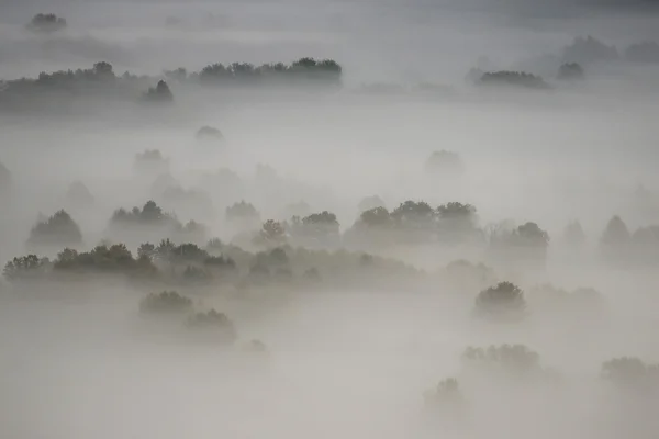 Nebbia nella valle del fiume Adda — Foto Stock