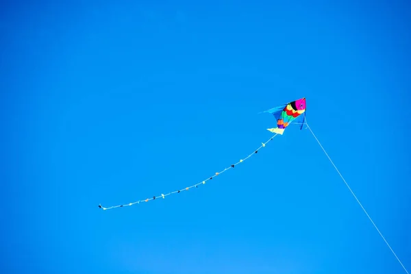 Colored kite held — Stock Photo, Image