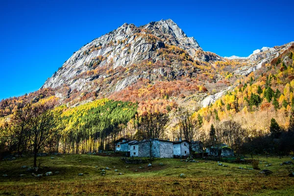 Beautiful autumn landscape — Stock Photo, Image