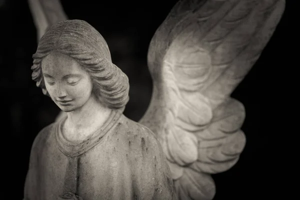 守護天使の黒と白の写真 — ストック写真
