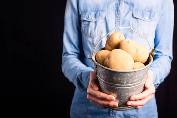 Balde de batatas nas mãos — Fotografia de Stock