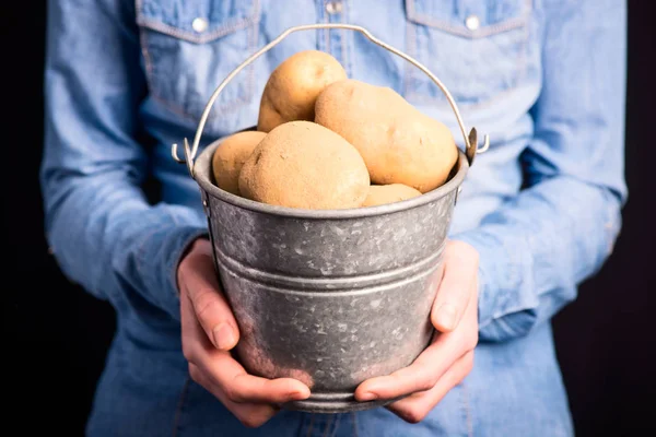 Balde de batatas nas mãos — Fotografia de Stock