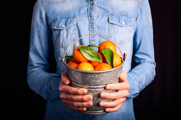 Mandarijnen emmer in handen — Stockfoto