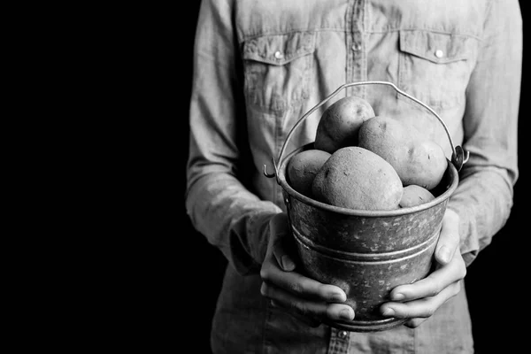 Cubo de patatas en las manos — Foto de Stock