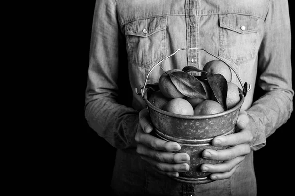 Ведро мандаринов в руках — стоковое фото