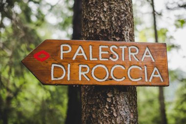 Bir yağmurlu günde Alps İtalya ormana patika sinyal