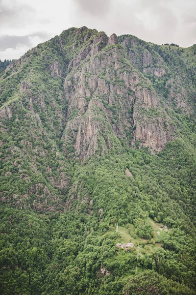 アルプスの森林イタリア — ストック写真