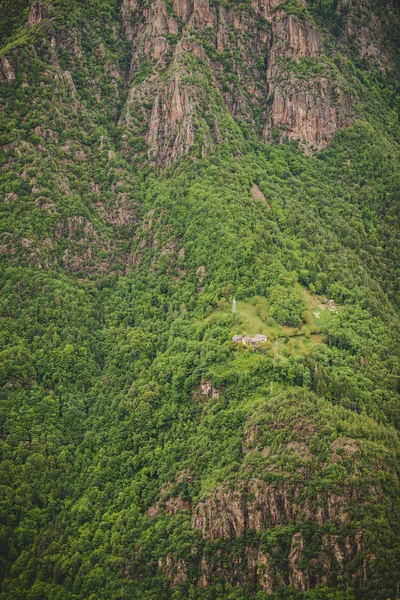 Ліс Альп Італії — стокове фото