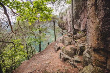 yağmurlu bir günde Alps İtalya ormanda kayalara