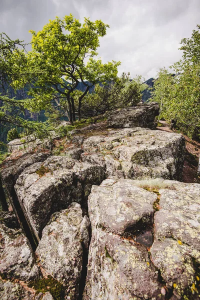 Βράχοι μέσα στο δάσος σε μια βροχερή ημέρα Alps Ιταλία — Φωτογραφία Αρχείου