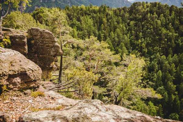 岩石在一个下雨天阿尔卑斯山意大利森林变成 — 图库照片