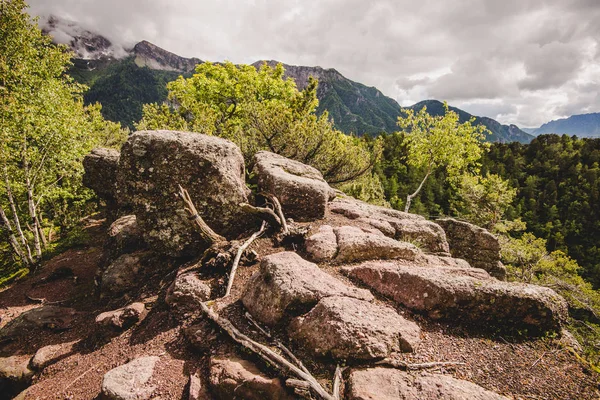 Rochers dans la forêt par un jour de pluie Alpes Italie — Photo