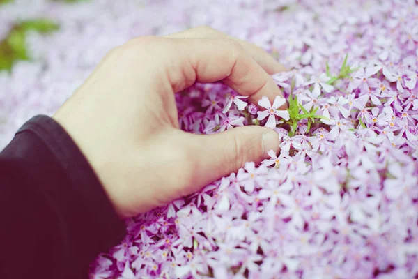 Man holding a little flower with his hand — Stock Photo, Image