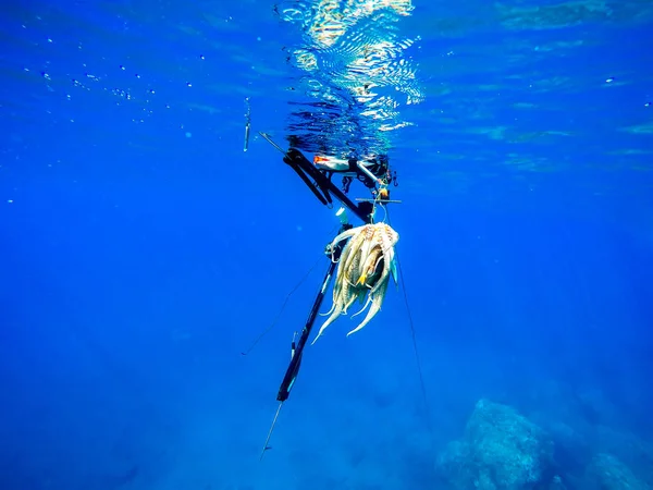 Cought spearfishing 푸른 바다에 — 스톡 사진