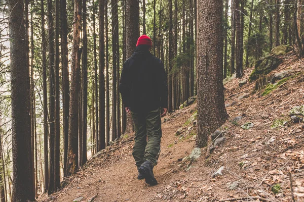 Escursionista a piedi su un sentiero di montagna — Foto Stock