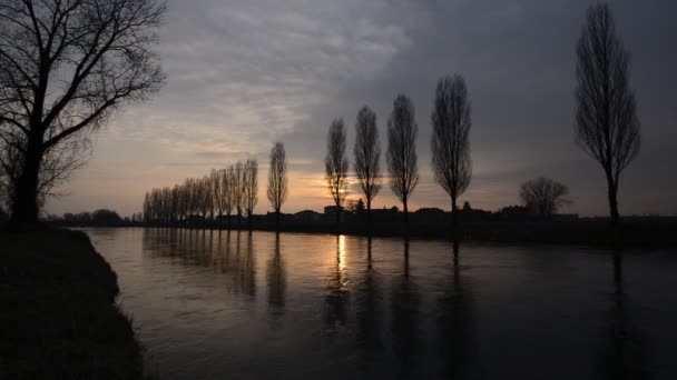 Tranquillo Flusso Acqua Canale Irriguo Tramonto Campagna — Video Stock