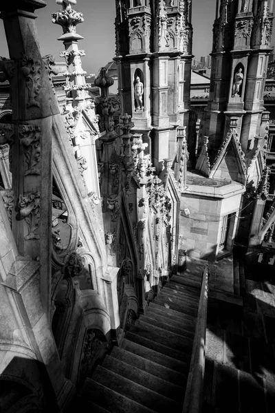 Καθεδρικός Ναός Μιλάνου Λεπτομέρεια Μαύρο Και Άσπρο Εικόνας — Φωτογραφία Αρχείου