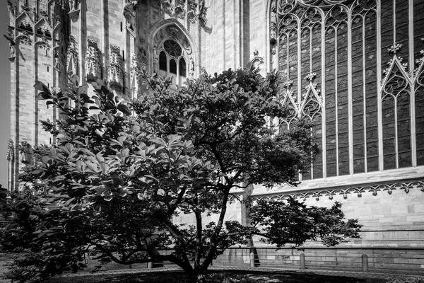Detalle Milan Duomo Imagen Blanco Negro —  Fotos de Stock