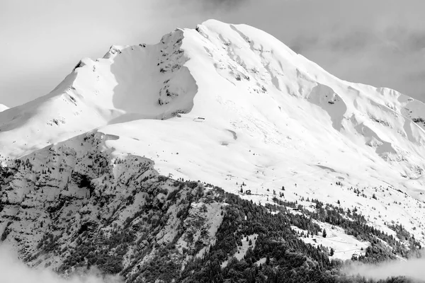 Bella Vetta Invernale Immagine Bianco Nero — Foto Stock