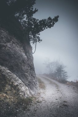 sisli hava dağ manzarası - kış ruh - tarzı görüntü desaturated