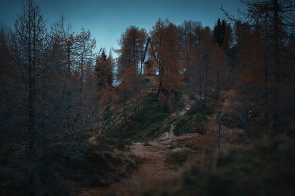 Petite Chapelle Sentier Montagne Avec Feuilles Mélèze Tombées Saison Automne — Photo