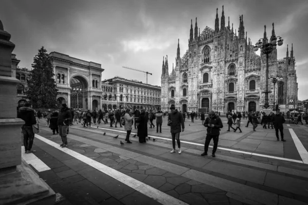 Piazza Duomo Milan Italy Черно Белое Изображение — стоковое фото
