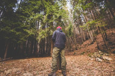 Dağdaki ormanda yürüyüş yapmayı düşünen bir adam. Kavramı kesme zamanı. 
