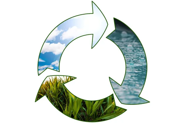 Grönsaksproduktion Grön Förnybar Hållbar Ekonomi Vattenresurskoncept — Stockfoto