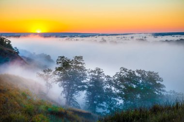 Kurtlar Vadisi ve orman puslu şafak