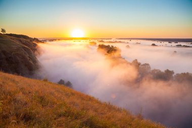 Kurtlar Vadisi ve orman puslu şafak