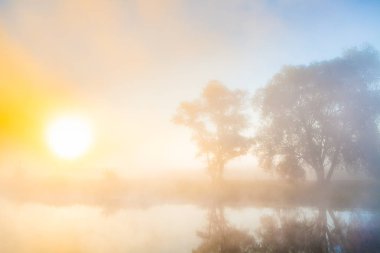 Misty dawn nehir ve orman üzerinde. Gizemli ağacı siluetleri