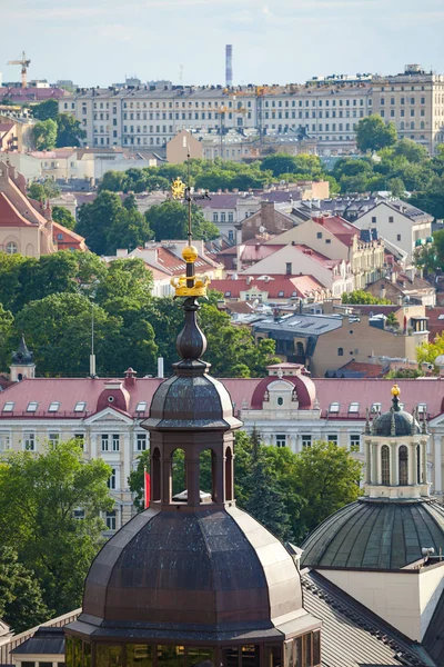 Vilnius, Litvanya: sivri ve çatıda katedral Kulesi