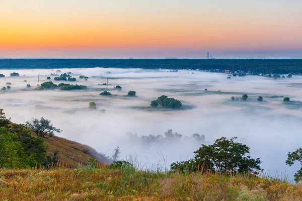 Kurtlar Vadisi ve orman puslu şafak