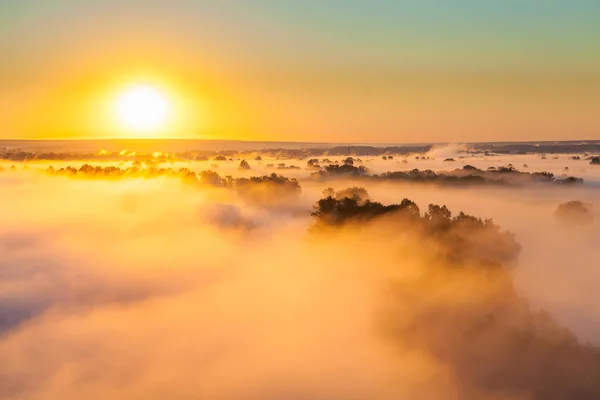 Туман над Долиной и лесом — стоковое фото
