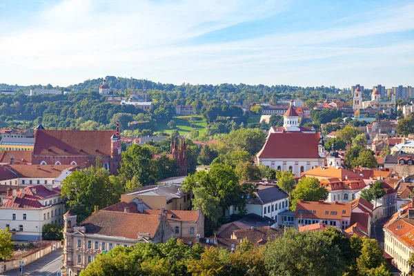 Doğal yaz Vilnius eski şehrin panoramik havadan görünümü