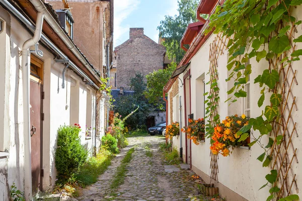 Rue étroite avec verdure sur les murs à Vilnius, Lituanie — Photo