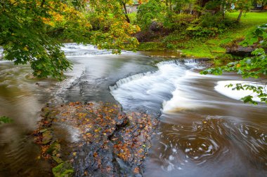 Joaveski şelale yaprakları, Estonya ile Nehri üzerinde