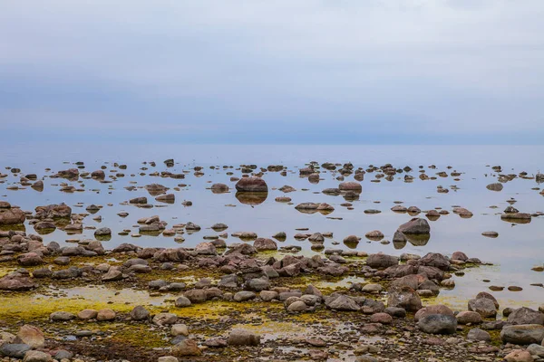 岩が多い海岸の美しい曇り風景。バルト海の静かな情景. — ストック写真
