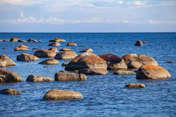 Камни на берегу Балтийского моря — стоковое фото