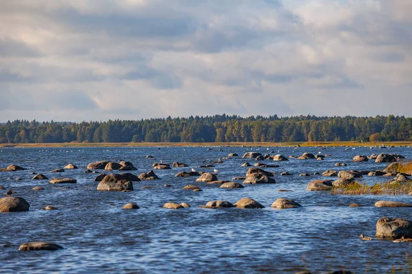Камни на берегу Балтийского моря — стоковое фото