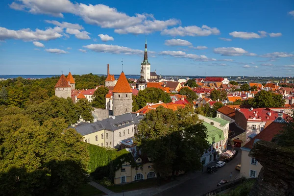 Starego miasta w Tallinie w Estonii, Oleviste Kościoła i Morza Bałtyckiego w słoneczny letni dzień. Piękne błękitne niebo z małej chmury. — Zdjęcie stockowe