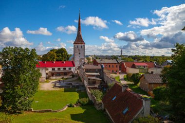 St. Trinity Church and old town of Rakvere, Estonia. Green summer time clipart