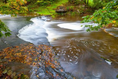 Küçük şelale cascades Estonya Nehri üzerinde