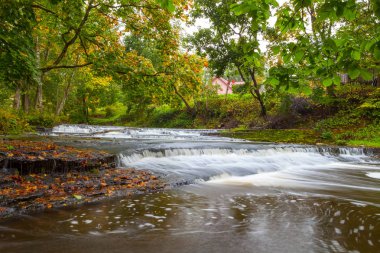 Küçük şelale cascades Estonya Nehri üzerinde