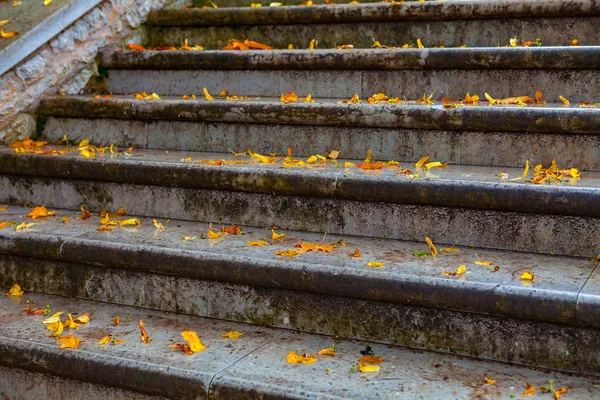 Escalera de piedra vieja cubierta con hojas amarillas caídas — Foto de Stock