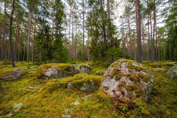 Orman Kasmu Kaptan'ın village, Estonya yakınındaki kayalarda