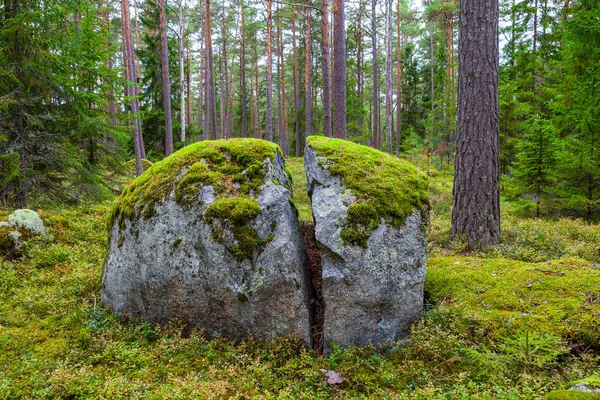 Orman Kasmu Kaptan'ın village, Estonya yakınındaki kayalarda — Stok fotoğraf