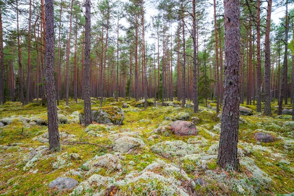 Orman Kasmu Kaptan'ın village, Estonya yakınındaki kayalarda