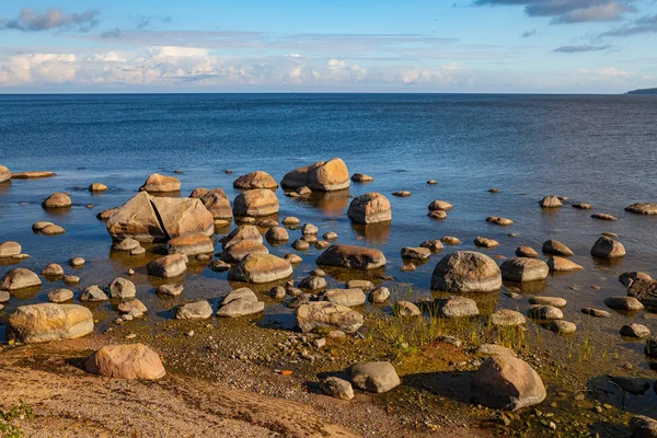 バルト海沿岸の石 — ストック写真