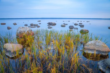 Taşlar ve çim su, uzun pozlama güneş battıktan sonra Baltık sahil